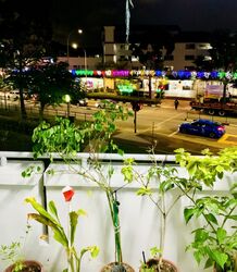 Blk 713 Bedok Reservoir Road (Bedok), HDB 3 Rooms #377276371